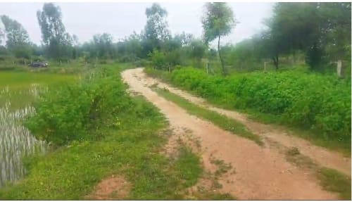 An image of land