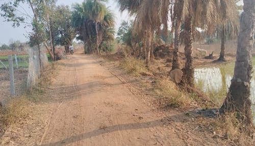 An image of land