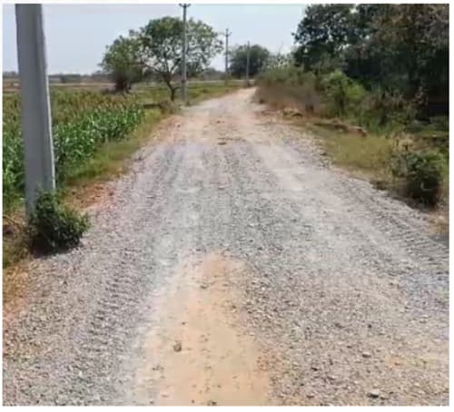 An image of land