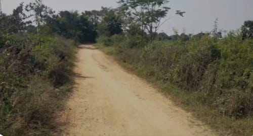 An image of land