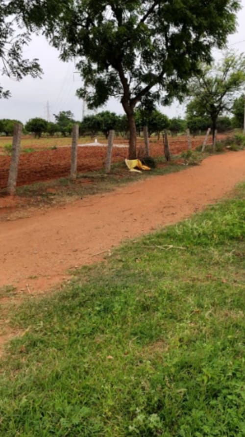 An image of land