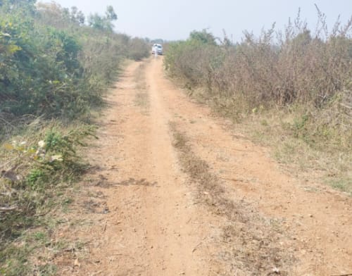 An image of land