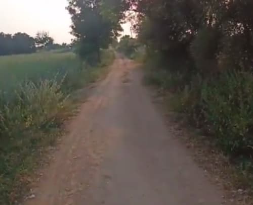 An image of land