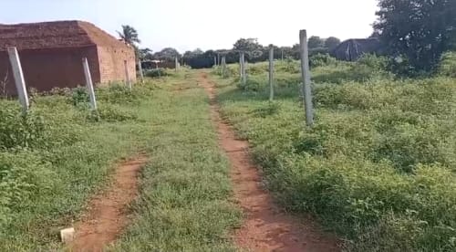 An image of land