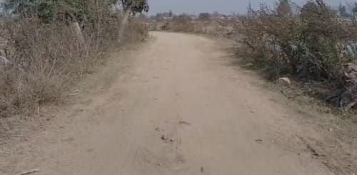 An image of land