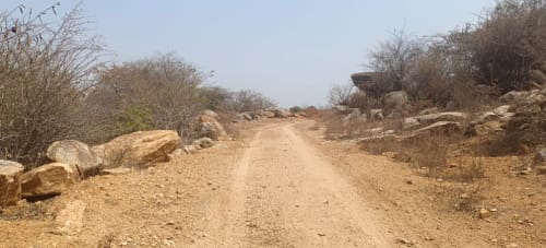 An image of land
