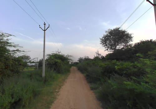An image of land