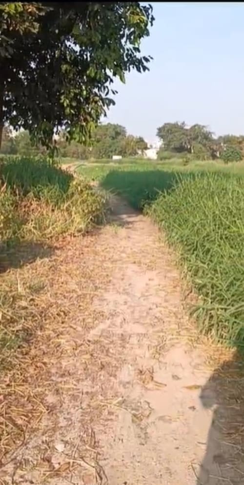 An image of land