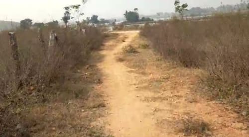 An image of land