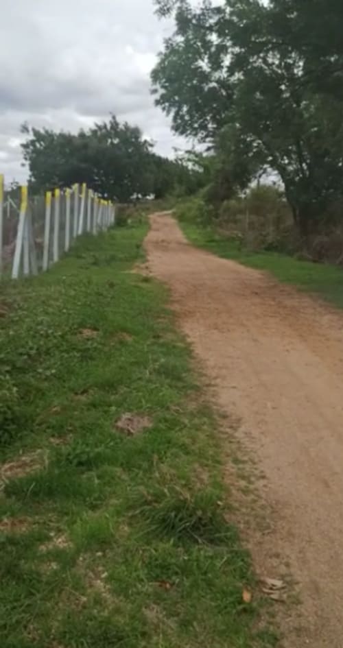 An image of land