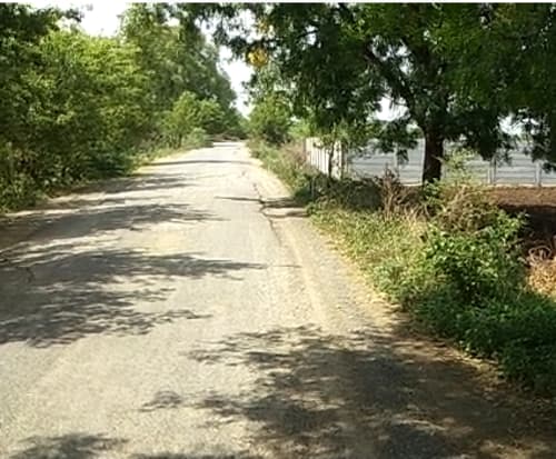 An image of land