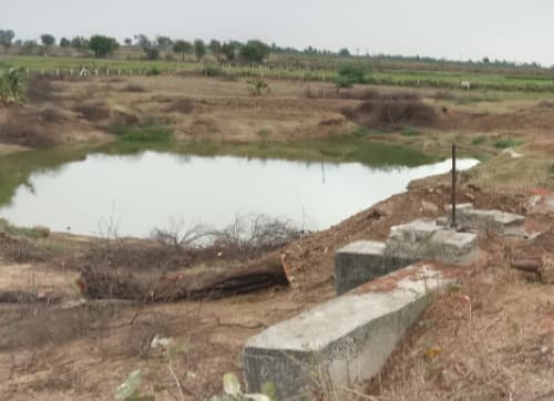 An image of land