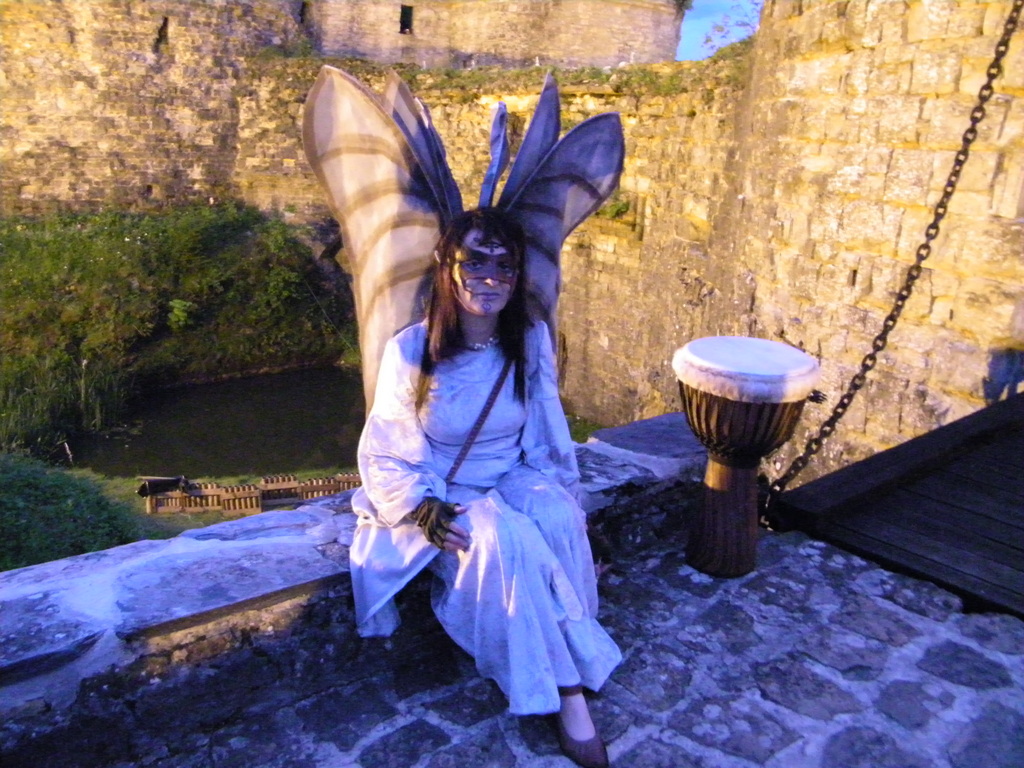 Médiéval Fantastique 14