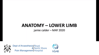 Part 2 Anatomy/LL