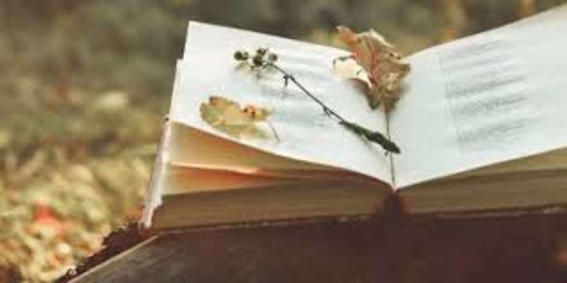 Why Everyone Should Read at Least One Poem a Day