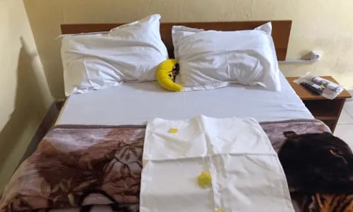 Hôtel Ma'a Mevfou - photo 11