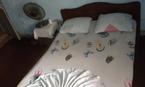 Motel le Papillon - photo 9