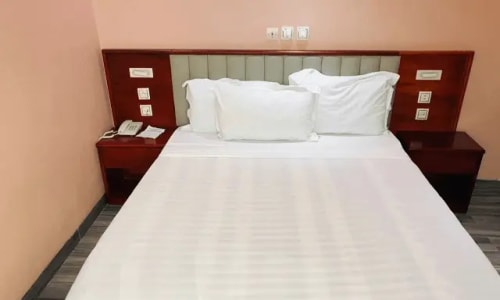 Hôtel Sindz Palace - photo 18