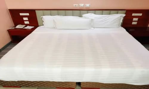 Hôtel Sindz Palace - photo 21