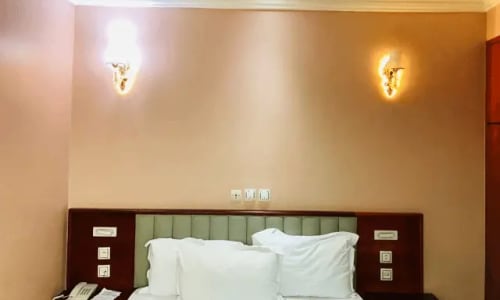 Hôtel Sindz Palace - photo 23