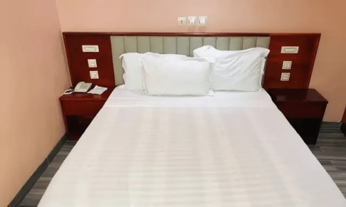 Hôtel Sindz Palace - photo 30