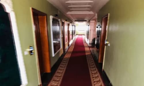 Hôtel Sindz Palace - photo 39