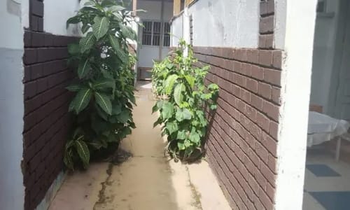 Auberge Dalas - photo 8