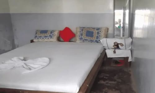 Auberge Dalas - photo 5