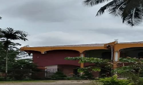 Hôtel Virginia - photo 17