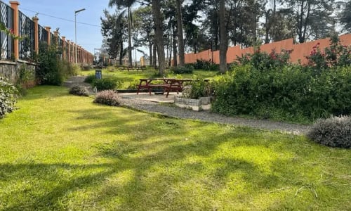 Parc de Loisir Paul Biya - photo 11