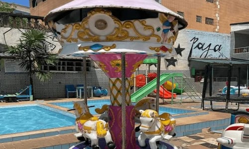 Manège Segmad - photo 12