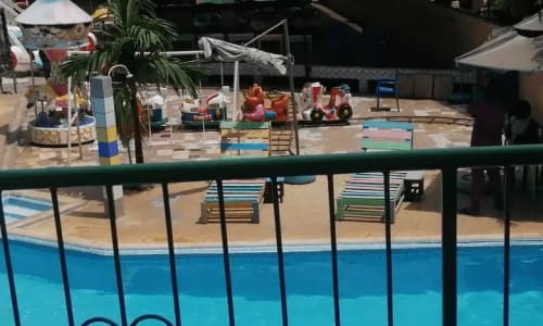 Manège Segmad - photo 21