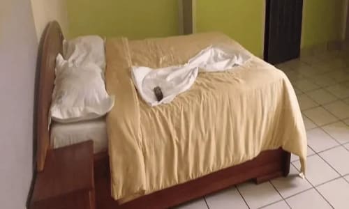 Hôtel Clementine - photo 5