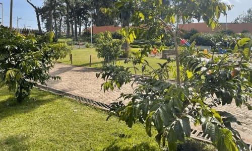 Restaurant Parc de Loisir Paul Biya - photo 8