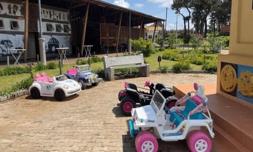 Restaurant Parc de Loisir Paul Biya - photo 16