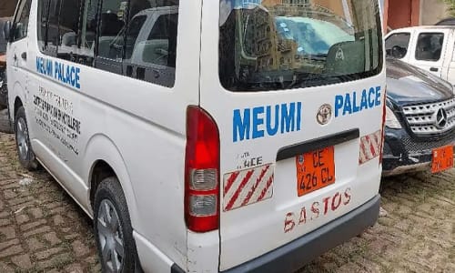 Hôtel Meumi Palace - photo 22