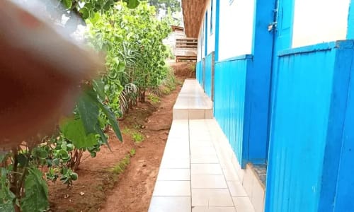 Foresty Hôtel - photo 8