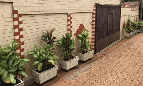 Calypso Palace Hôtel - photo 2