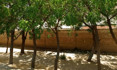 Hôtel la Paillote de Mora - photo 6