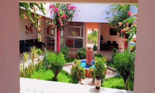 Hôtel Plazza - photo 19