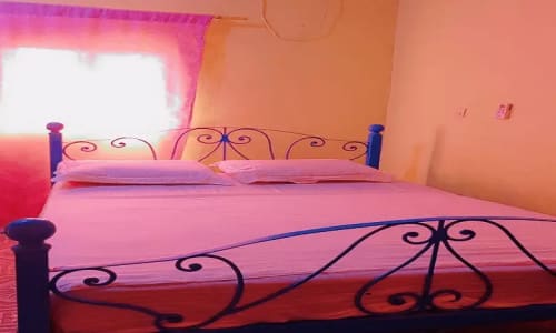 Hôtel le Protocole le HAMID - photo 15