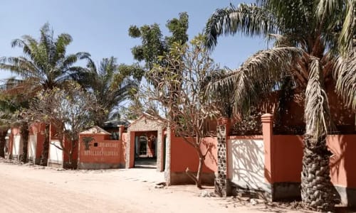 Hôtel les Palmiers - photo 2