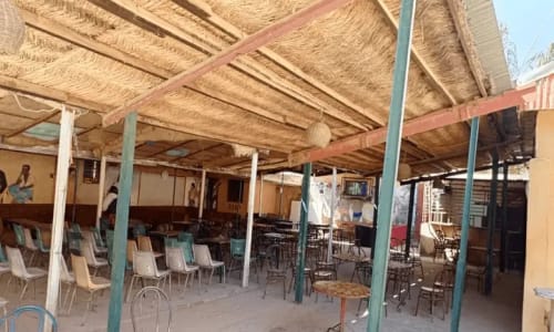 Hôtel les Palmiers - photo 28