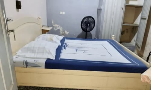 Hôtel les Palmiers - photo 45