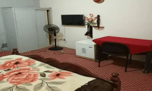 Hôtel les Palmiers - photo 53