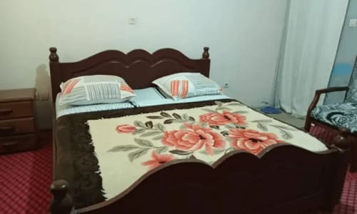 Hôtel les Palmiers - photo 55