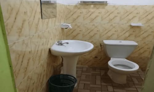 Hôtel les Palmiers - photo 58