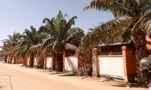 Salle de Conférence de L'Hôtel les Palmiers - photo 7