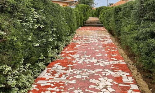 Centre Climatique de Bandjoun - photo 6