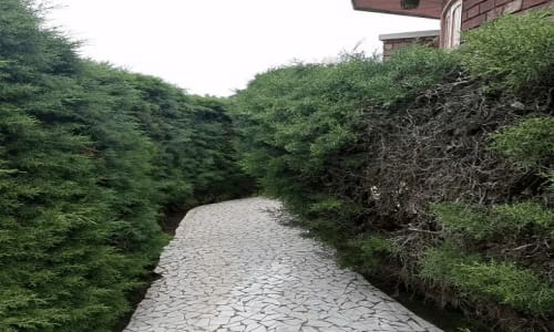 Centre Climatique de Bandjoun - photo 8